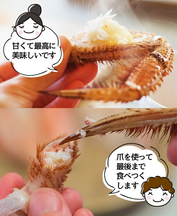 毛ガニ 北海道産 急速冷凍 500g前後1尾 けがに 毛がに 毛蟹 取り寄せ 北海道 かに カニ 毛ガニ ギフト 北海道グルメ お取り寄せ 贈り物 お取り寄せグルメ 贈答品 お取り寄せギフト 酒の肴 毛ガニ 北海道産 急速冷凍 500g前後1尾 けがに 毛がに 毛蟹 取り寄せ 北海道 かに カニ 毛ガニ ギフト 北海道グルメ お取り寄せ 贈り物 お取り寄せグルメ 贈答品 お取り寄せギフト 酒の肴