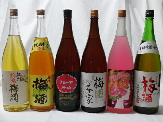 こんな梅酒福袋が欲しかったぁ 飲み比べ6本セット (中野BC 蜂蜜梅酒 五代梅酒 中埜酒造 お こんな梅酒福袋が欲しかったぁ 飲み比べ6本セット (中野BC 蜂蜜梅酒 五代梅酒 中埜酒造 お