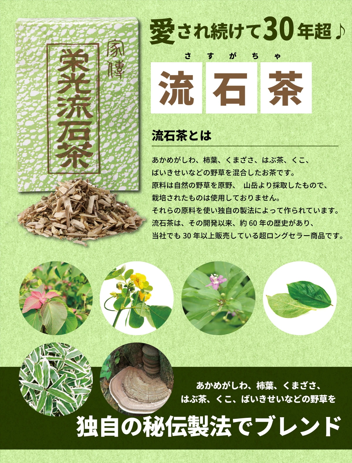 栄光 流石茶(12g12袋) さすがちゃ 4箱セット