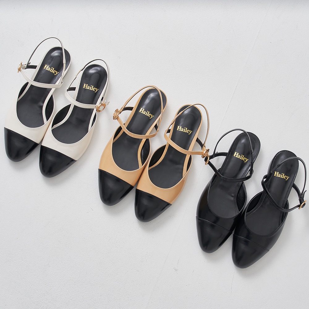 ヘイリーによる14日間の制作 HJ23007_3 カラーズ ヘイリーによる14日間の制作 HJ23007_3 カラーズ