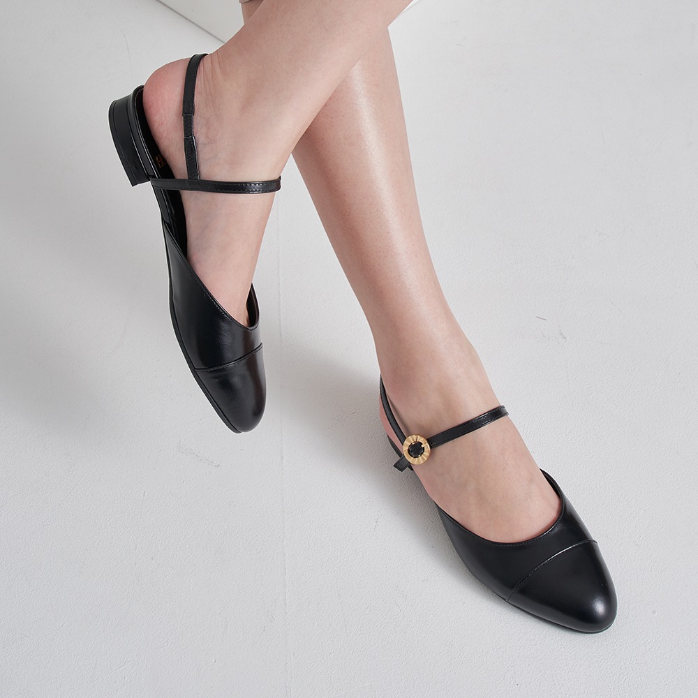 ヘイリーによる14日間の制作 HJ23007_3 カラーズ ヘイリーによる14日間の制作 HJ23007_3 カラーズ