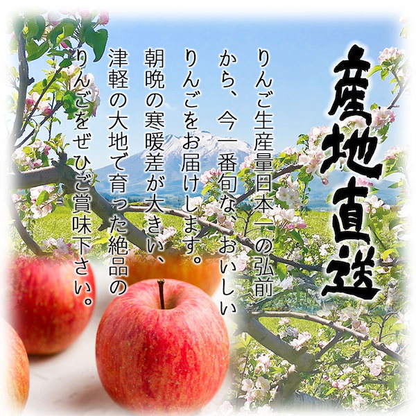 リンゴ　Qoo10]　ringo　数量限　りんご　林檎