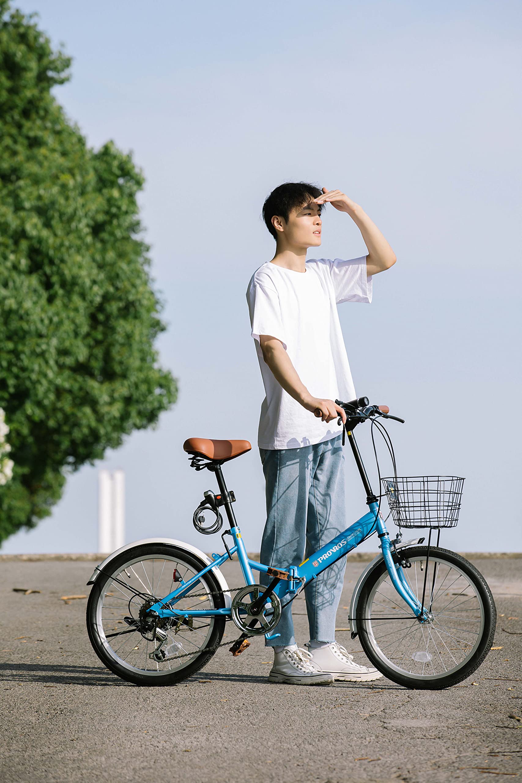 PROVROS CONNECTION 折りたたみ自転車 青 PROVROS CONNECTION 折りたたみ自転車 青 徹底比較】折りたたみ