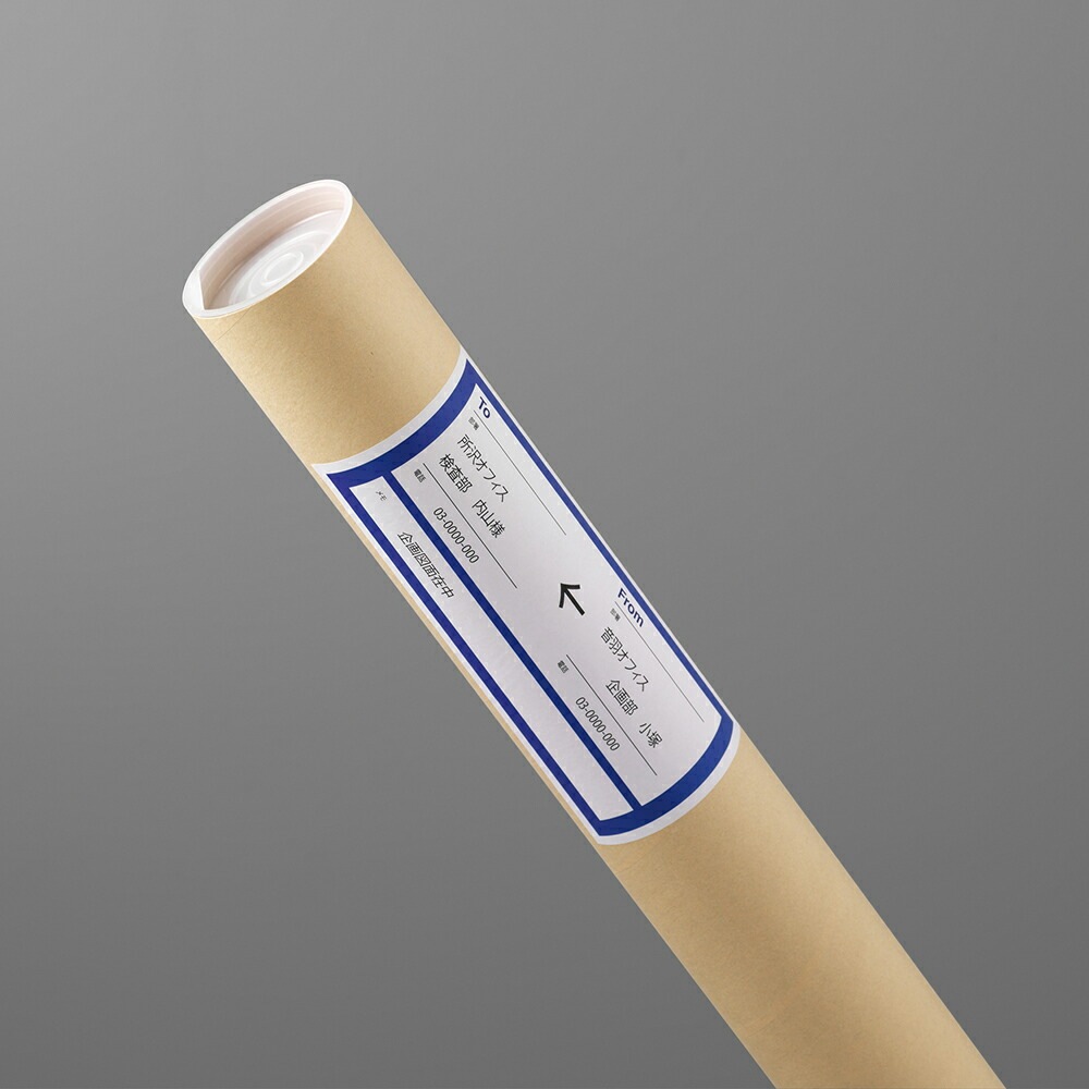 （まとめ買い）ラベル用紙 いつものラベル 収納/案内用 A4 1x3片付 3面 余白無し 100枚 ME-553T [x3]