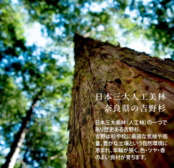 宮武製作所【インテリア雑貨家具】丸太スツール Cierva(シエルバ) ナチュラル 奈良吉野杉使用 CH-3042-NT【完成品 日本製】天然素材 天然木 磨き丸太 椅子 宮武製作所【インテリア雑貨家具】丸太スツール Cierva(シエルバ) ナチュラル 奈良吉野杉使用 CH-3042-NT【完成品 日本製】天然素材 天然木 磨き丸太 椅子