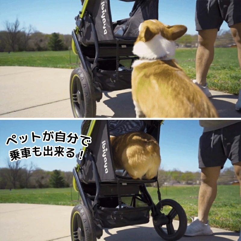 【正規品】イビヤヤ ビースト ペット ジョギング ストローラー ibiyaya ペットカート 多頭 小型犬 中型犬 3輪 折りたたみ 中型犬 小型犬 バギー キャリー ドライブボックス 犬 猫 折りた