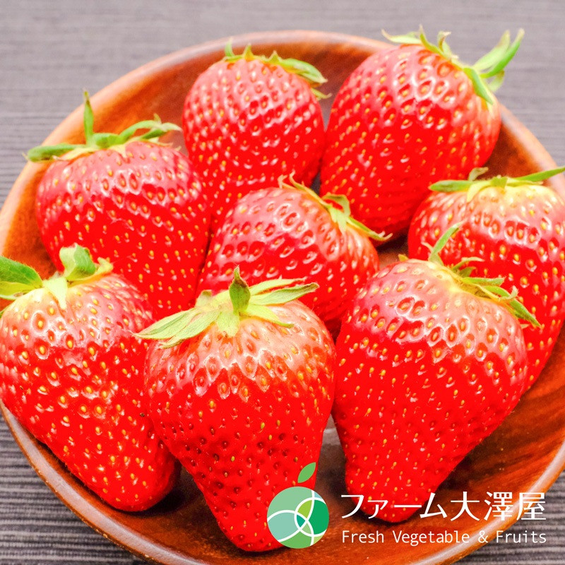 極小粒 6kg 紅ほっぺ いちご 〜農家直送〜 紅ほっぺ いちご 6パック 24-90粒 長野県中野市産 ケーキ 誕生日