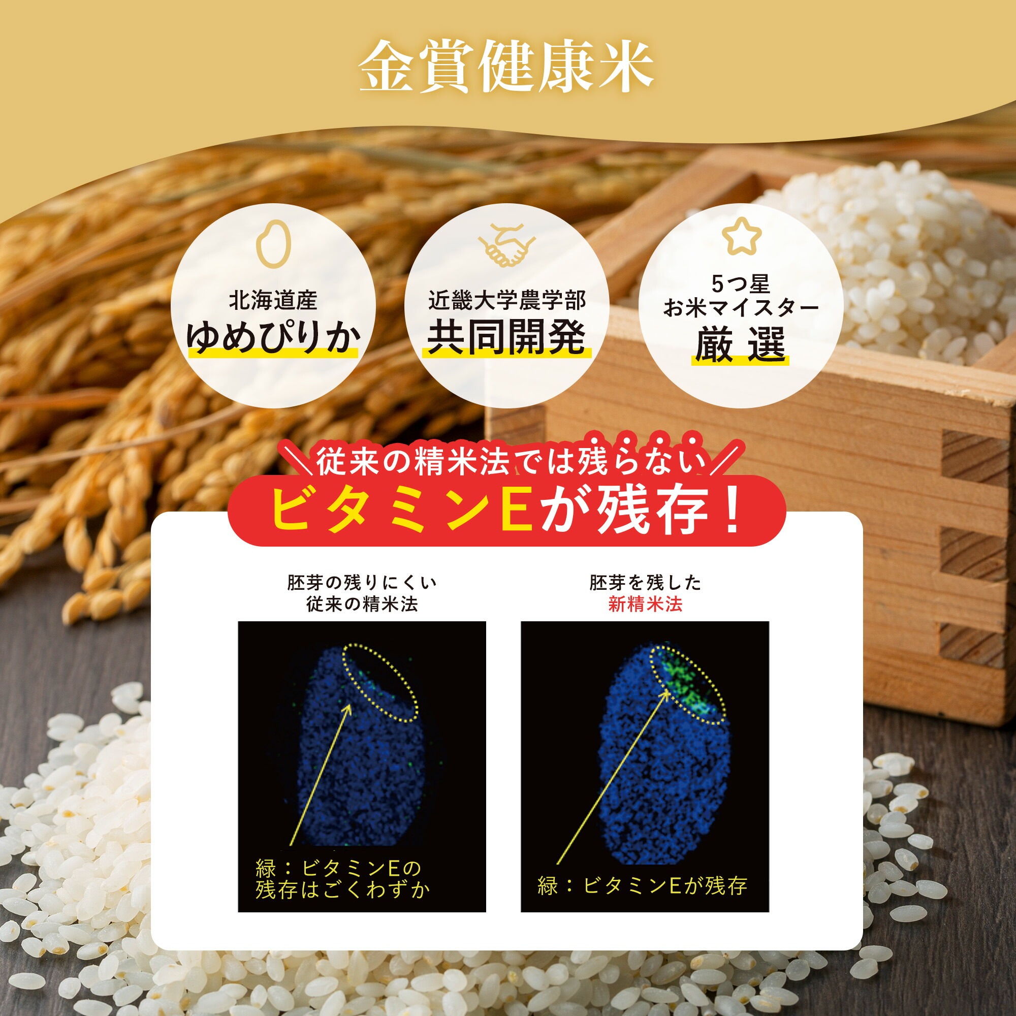 【公式】 黒米 玄米 金賞健康米 36パック 120g パックご飯 国産米 ごはんパック ご飯 パック ご飯パック 金賞の一膳 レトルト 【公式】 黒米 玄米 金賞健康米 36パック 120g パックご飯 国産米 ごはんパック ご飯 パック ご飯パック 金賞の一膳 レトルト