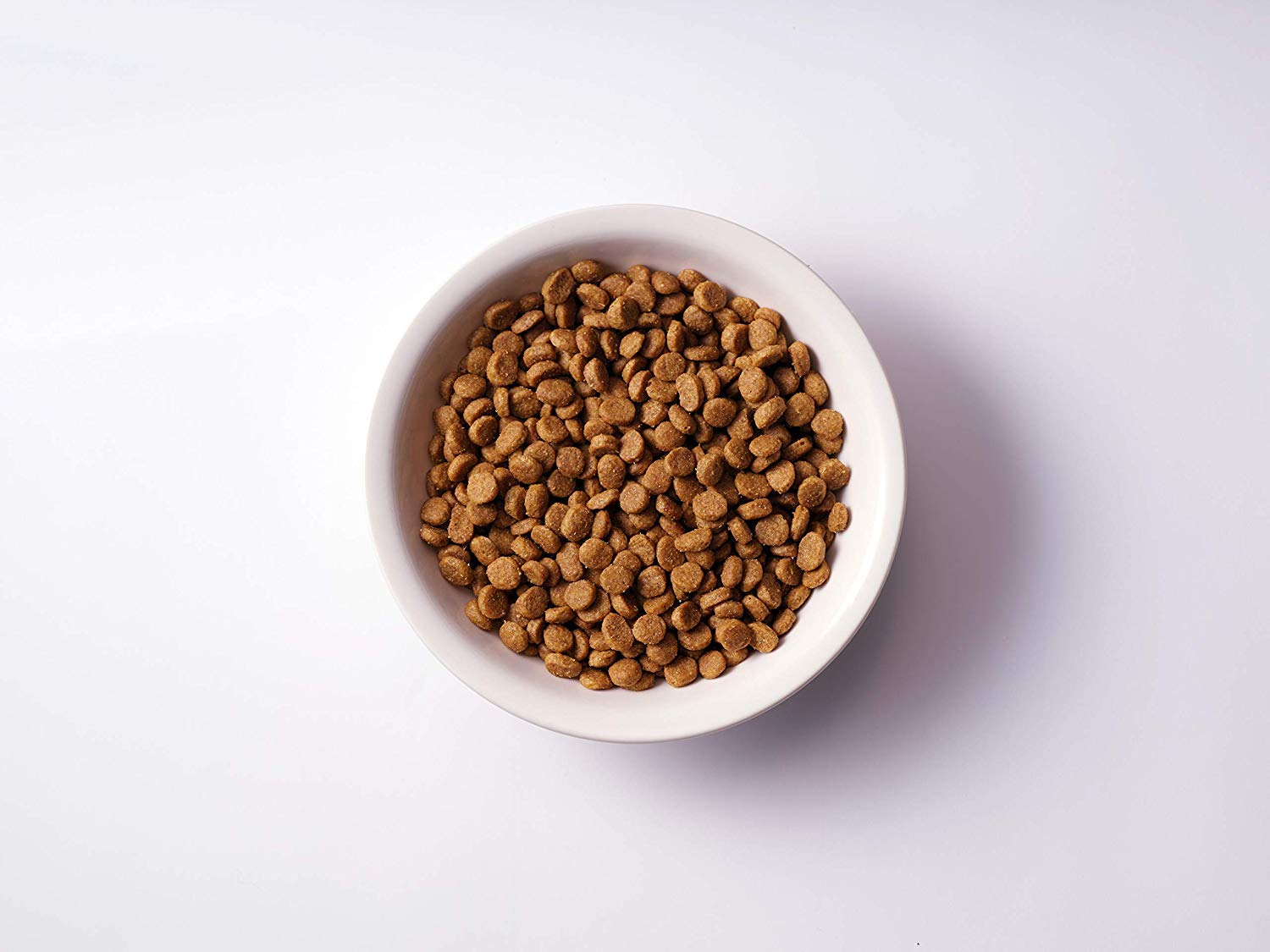 ソルビダ グレインフリー ターキー 室内飼育全年齢対応 3.6kg