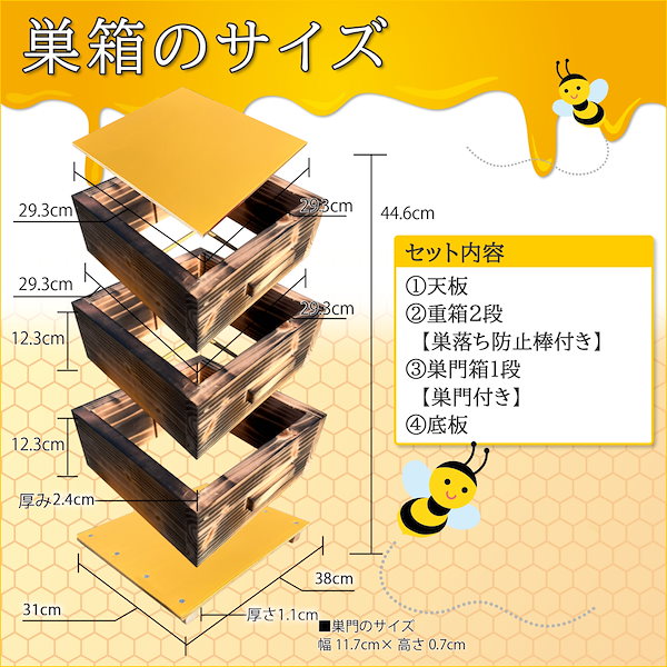 Qoo10] 日本蜜蜂 巣箱 二ホンミツバチ 日本みつ