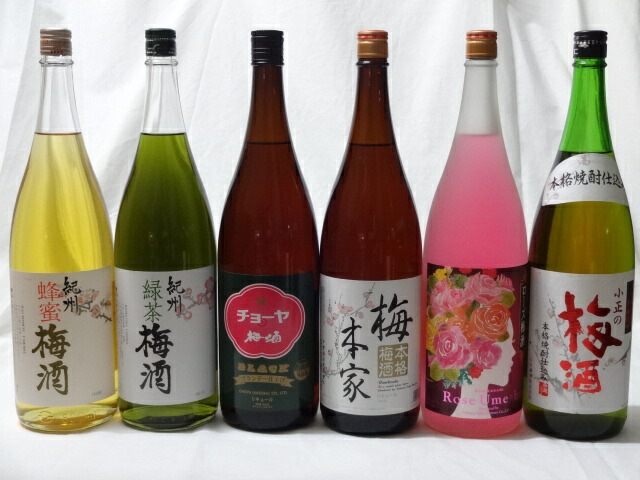 こんな梅酒福袋が欲しかったぁ　飲み比べ6本セット（中野BC 緑茶梅酒 蜂蜜梅酒 中埜酒造 おばあ