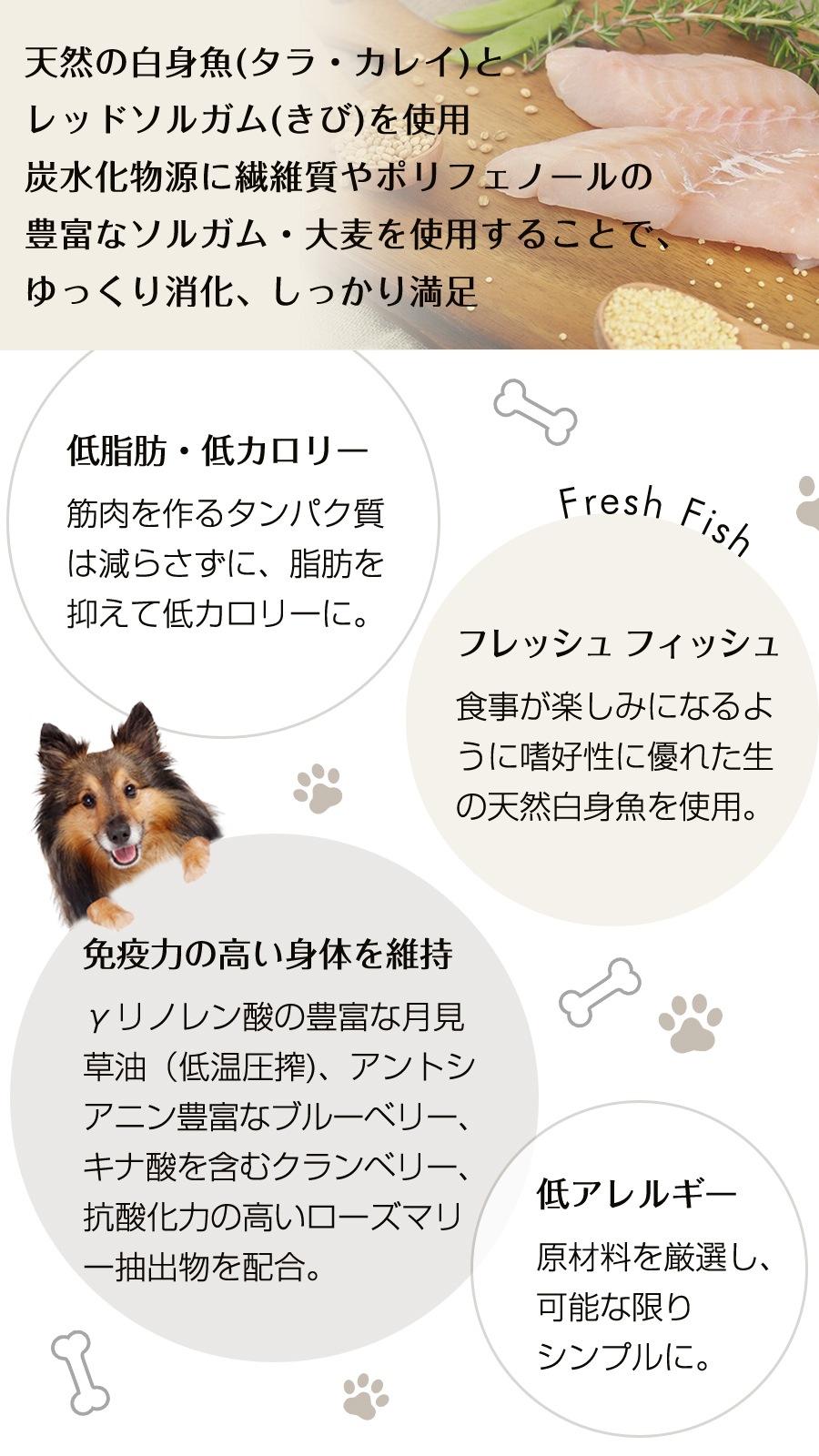 ベーシックフォーミュラ メンテナンススモール フィッシュ1.59kg2袋 【お試し国産お魚厚削り15g付き】 ベーシックフォーミュラ メンテナンススモール フィッシュ1.59kg2袋 【お試し国産お魚厚削り15g付き】