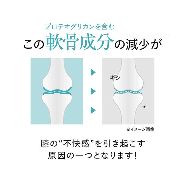 ひざ 関節 軟骨 の保護に役立つ プロテオグリカン サプリ 日常生活の膝の動きを改善 医師監修 機能性表示食品 潤ひざ 90粒 3袋 約3ヶ月分 baskapel.nl