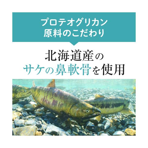 ひざ 関節 軟骨 の保護に役立つ プロテオグリカン サプリ 日常生活の膝の動きを改善 医師監修 機能性表示食品 潤ひざ 90粒 3袋 約3ヶ月分 baskapel.nl