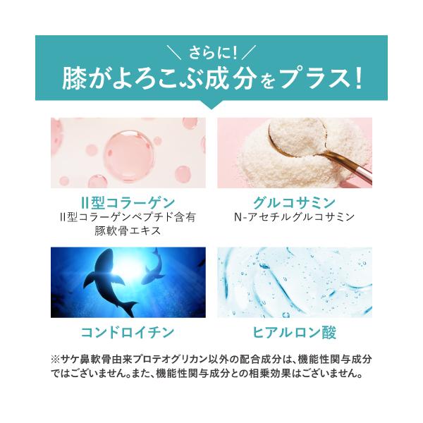 ひざ 関節 軟骨 の保護に役立つ プロテオグリカン サプリ 日常生活の膝の動きを改善 医師監修 機能性表示食品 潤ひざ 90粒 3袋 約3ヶ月分 baskapel.nl