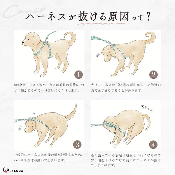 犬 ハーネス 後ずさり 抜ける