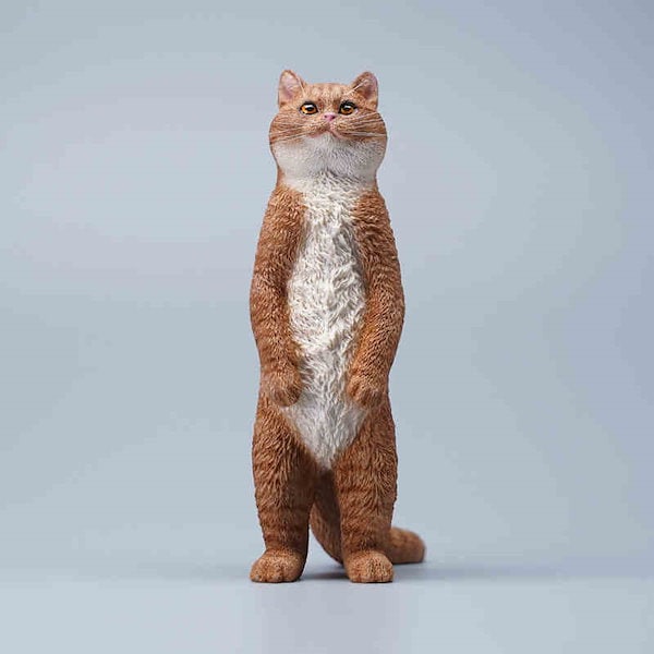 猫 Qoo10] JXK ブリティッシュショートヘア 猫