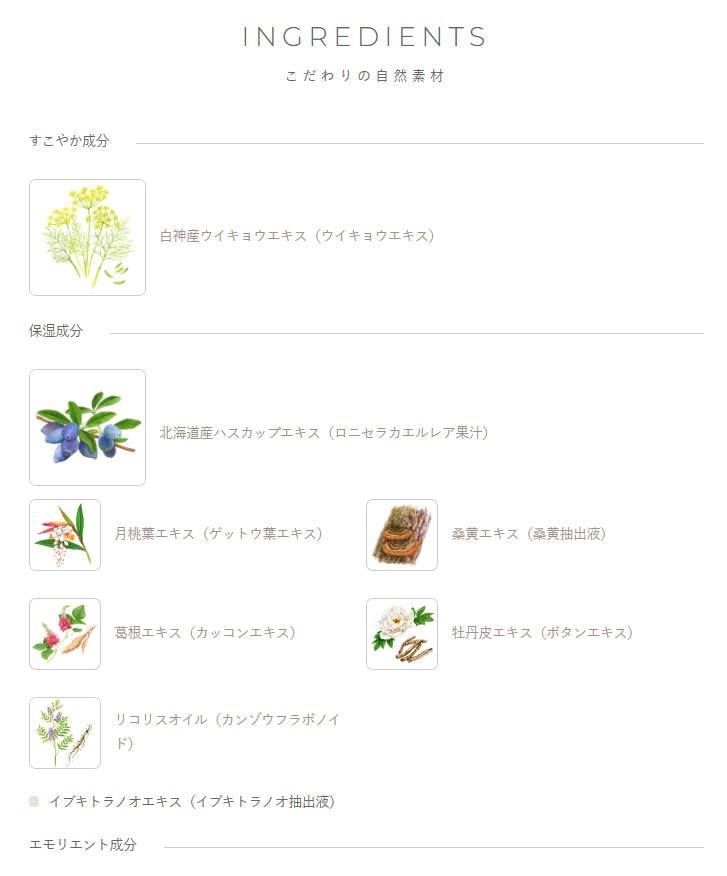 【国内正規品】　ホワイニング エフフォーリア ミルク 200g