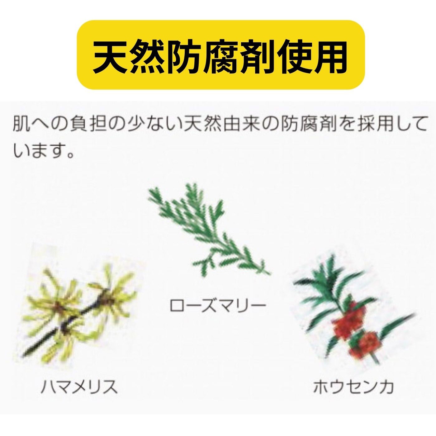 [国内正規品]ポリシー化粧品 リビティー R 100ml(業務用） 美容液 シワ タルミ 調合 原液 保湿 潤い うるおい 乾燥 水分維持 エレクトロポレーション 天然力スキンケア