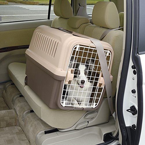 リッチェル キャンピングキャリー L ダークブラウン サイズ