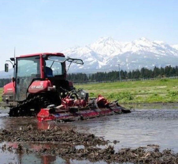 新潟県産 コシヒカリ 無洗米 20kg 令和６年産　プレゼント入り 米 高級米 おいしいお米 美味しいお米 産地直送 農家の米