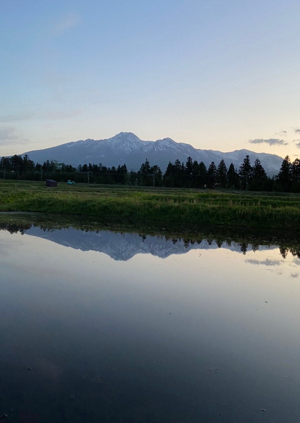 新潟県産 コシヒカリ 無洗米 20kg 令和６年産　プレゼント入り 米 高級米 おいしいお米 美味しいお米 産地直送 農家の米