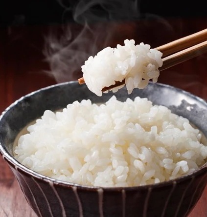 新潟県産 コシヒカリ 無洗米 20kg 令和６年産　プレゼント入り 米 高級米 おいしいお米 美味しいお米 産地直送 農家の米