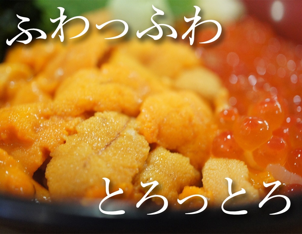 冷凍 生うに 無添加 800g(100g 8パック) チリ産 うに丼約16杯分