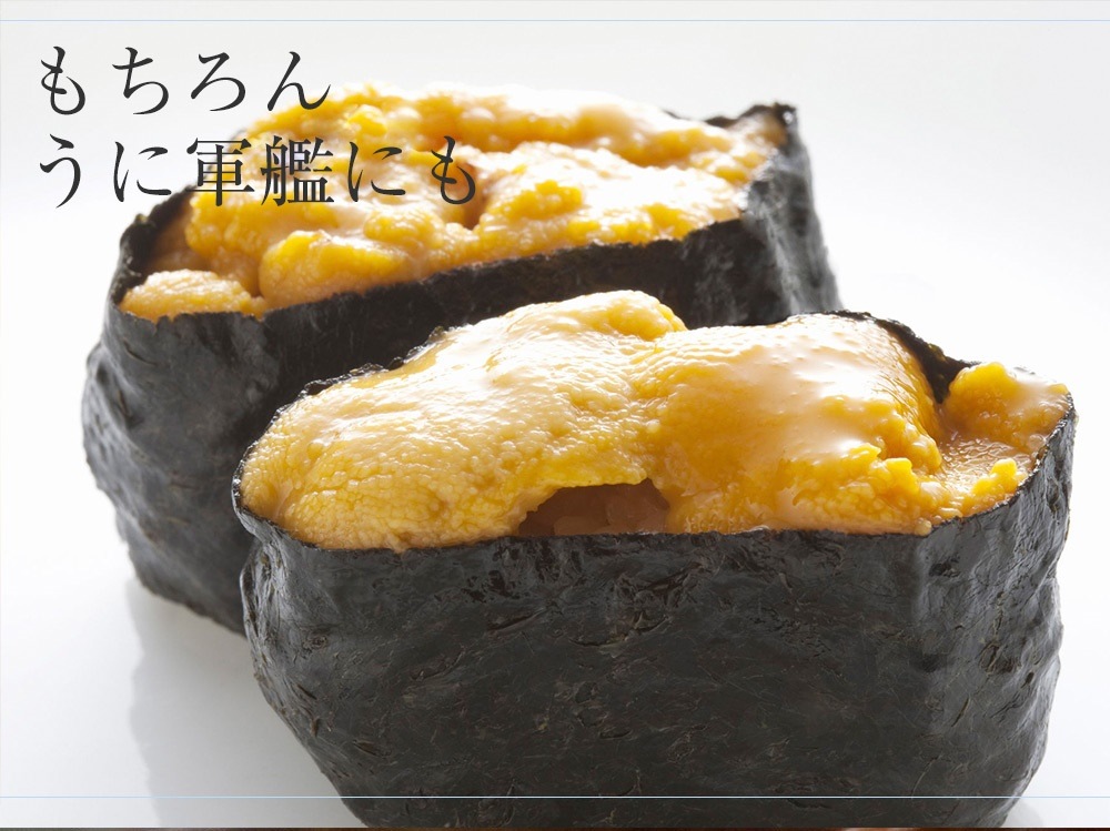冷凍 生うに 無添加 800g(100g 8パック) チリ産 うに丼約16杯分