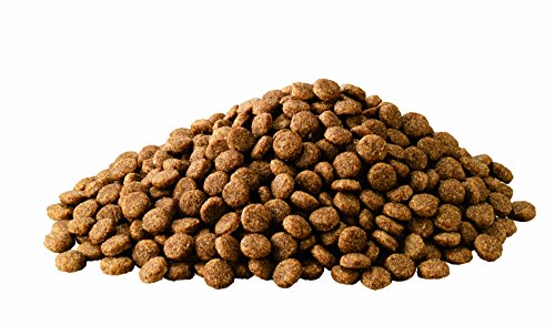 アイムス ドッグ 1歳から 健康維持用 小粒 大容量 12kg チキン 総合栄養食 ドッグフード 犬 ドライフード 健康的な消化吸収 免疫力の維持 体重維持 獣医師の知見で開発 IAMS アイムス ドッグ 1歳から 健康維持用 小粒 大容量 12kg チキン 総合栄養食 ドッグフード 犬 ドライフード 健康的な消化吸収 免疫力の維持 体重維持 獣医師の知見で開発 IAMS