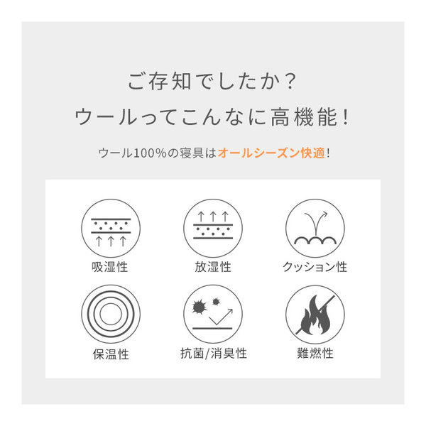 Sleep Niceday フランス産ウォッシャブルウール100%使用した ベッドパッド 日本製/消臭/吸湿 セミシングル（SS） グレージュ