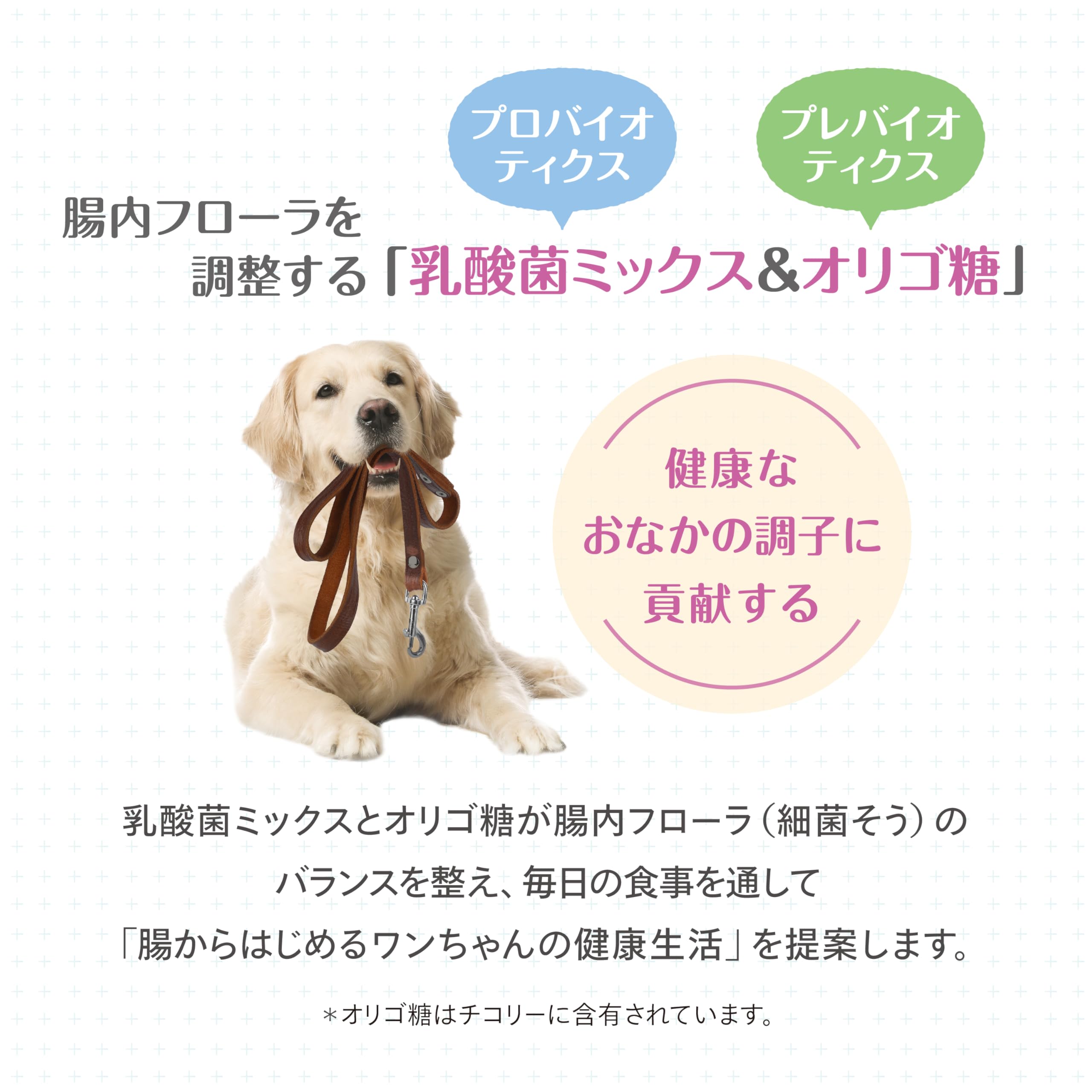 森乳サンワールド スーパーゴールド おなかラボ 体重調整用 犬用 2.4kg