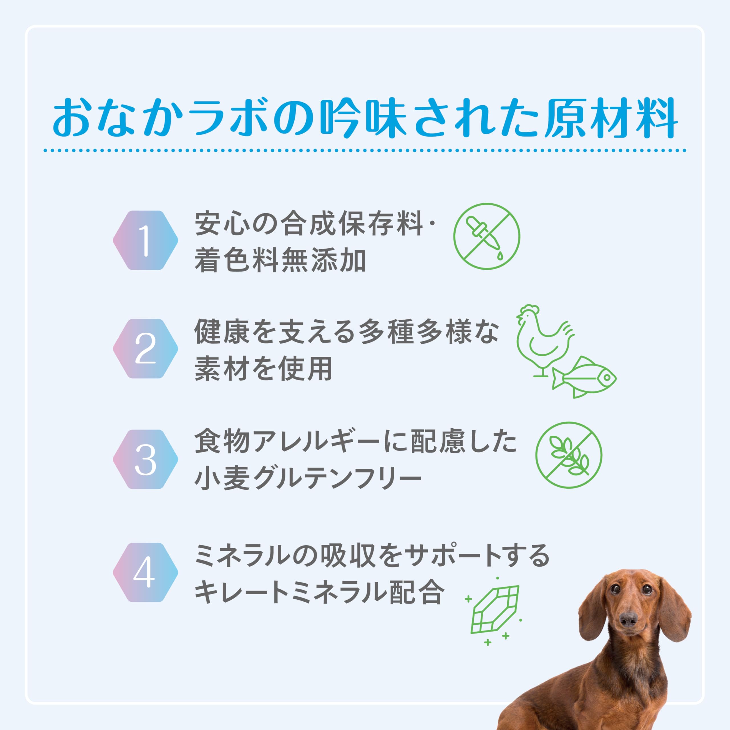 森乳サンワールド スーパーゴールド おなかラボ 体重調整用 犬用 2.4kg