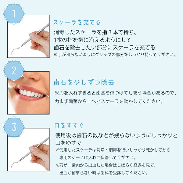 歯石取り 歯石とり スケーラー 歯石除去 デンタルケア ケース - 口臭防止