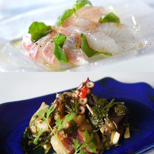 オリーブオイル エキストラバージン ギフト 湘南 スパイシーオイル 100ml 6本セット オリーブオイル エキストラバージン ギフト 湘南 スパイシーオイル 100ml 6本セット