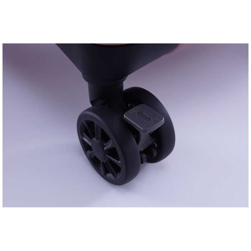 A.L.I ハードキャリー FiL Pake マットブラック [TSAロック搭載 /100(+