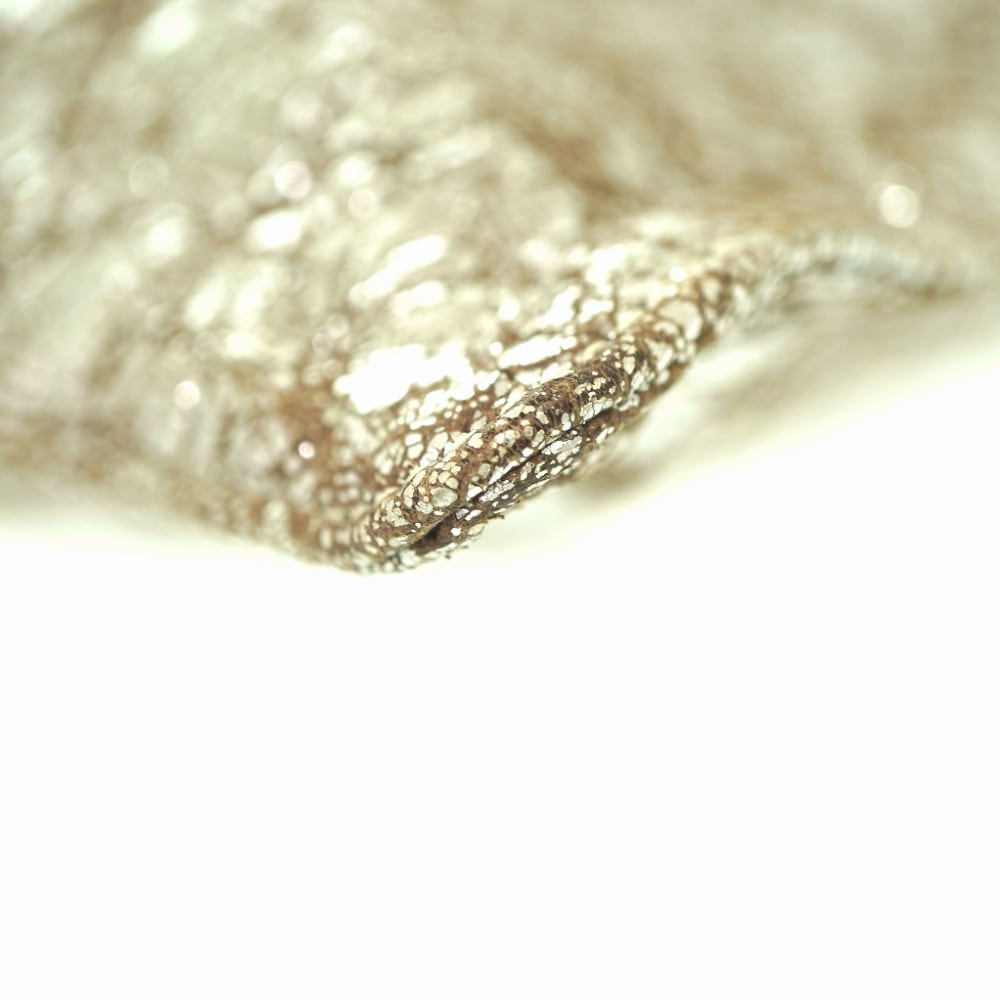 美品 フラット バッグ BSフレア クラッチバッグ クラッチバッグ レザー/シルバー925 シルバー 1631【中古】 レディース 美品 フラット バッグ BSフレア クラッチバッグ クラッチバッグ レザー/シルバー925 シルバー 1631【中古】 レディース