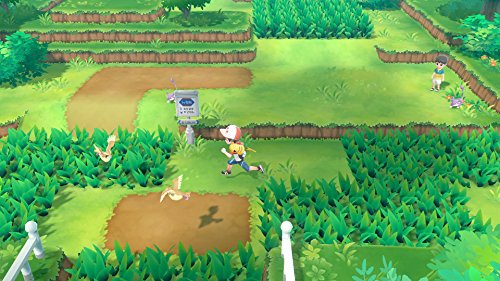 Pokemon Let's Go, : テレビゲーム 在庫通販