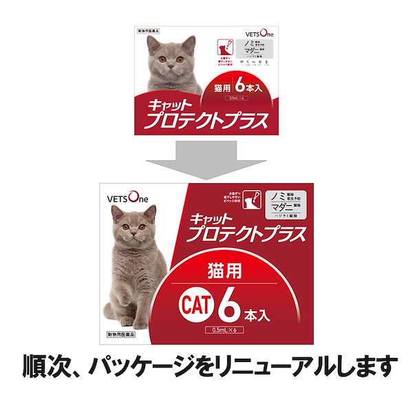 Qoo10] ベッツワン キャットプロテクトプラス 猫