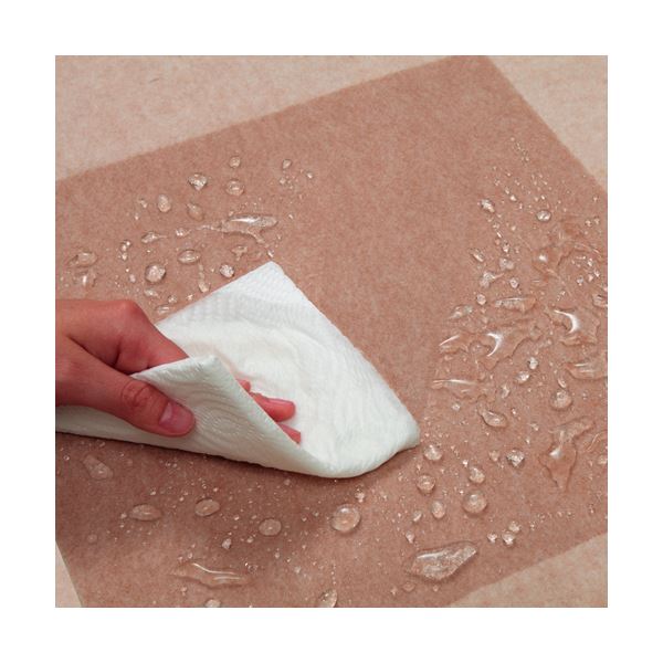 (まとめ)サンコー 撥水バリアフリータイルマット 3030cm グリーン&ライトグリーン KD-33 1パック(8枚) 3セット (まとめ)サンコー 撥水バリアフリータイルマット 3030cm グリーン&ライトグリーン KD-33 1パック(8枚) 3セット