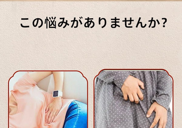 Qoo10] よもぎ蒸し会陰灸具調理女性温灸器冷え性/