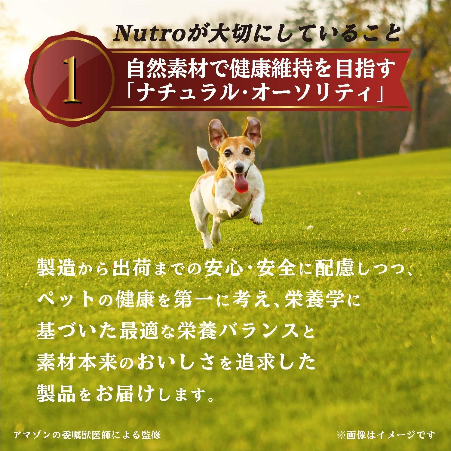 Nutro ニュートロ シュプレモ 子犬用 小粒 3kg ドッグフード【パピー/自然素材/着色料 無添加/消化に良い】