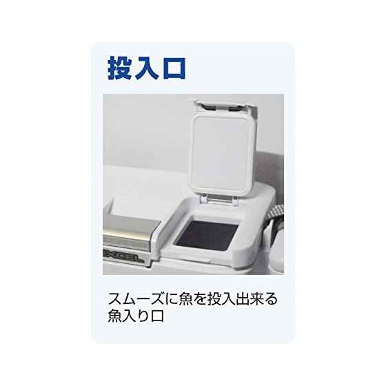 425737 小型 9L : アウトドア : クーラーボックス 最新作
