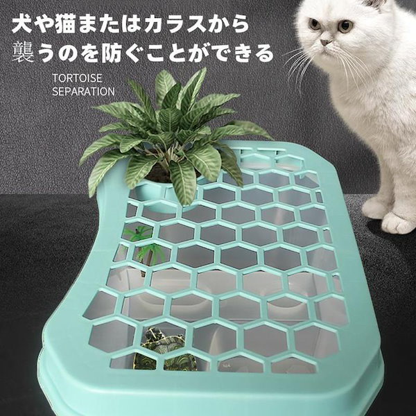 Qoo10] 新品登場 亀 水槽 カメ 飼育ケース 6