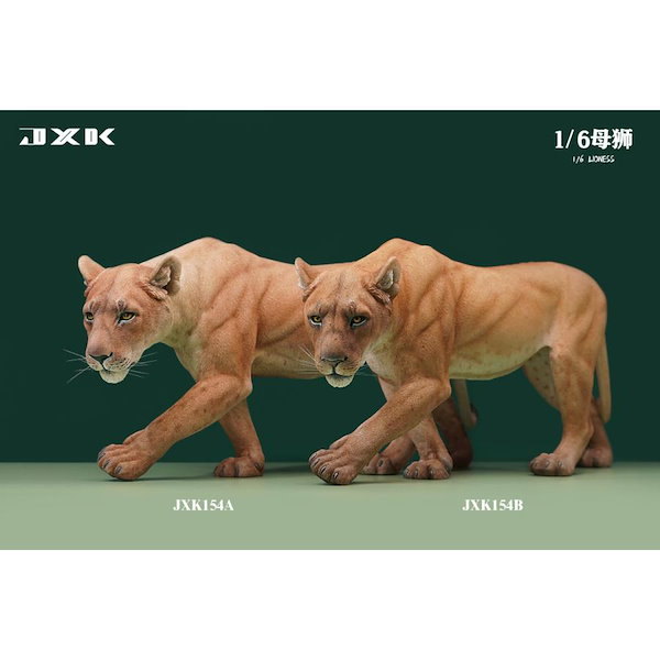 JXK Lioness メスライオン 1/6 フィギュア JXK154B