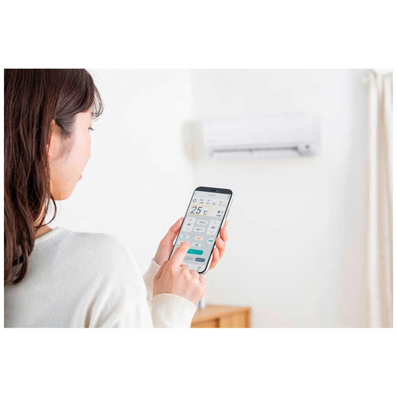 （標準取付工事費込）アイリスオーヤマ　IRIS OHYAMA　エアコン おもに6畳用　IKF-224W