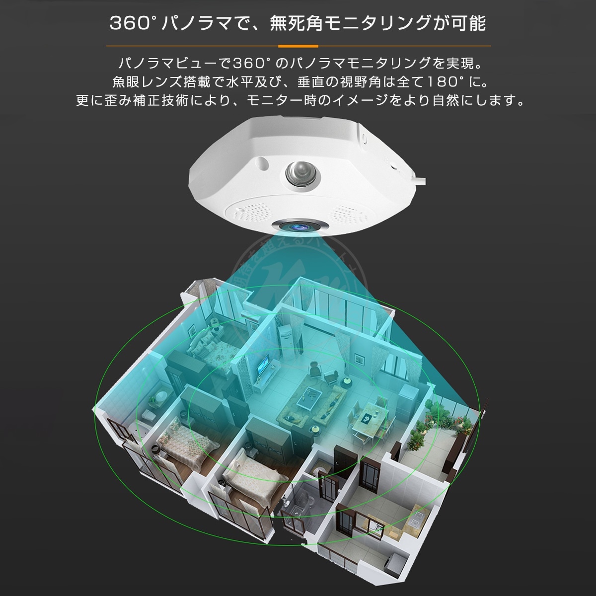 防犯カメラ 300万画素 C61S ネットワークカメラ 魚眼レンズ 360度 全天球 在庫処分1ヶ月保証