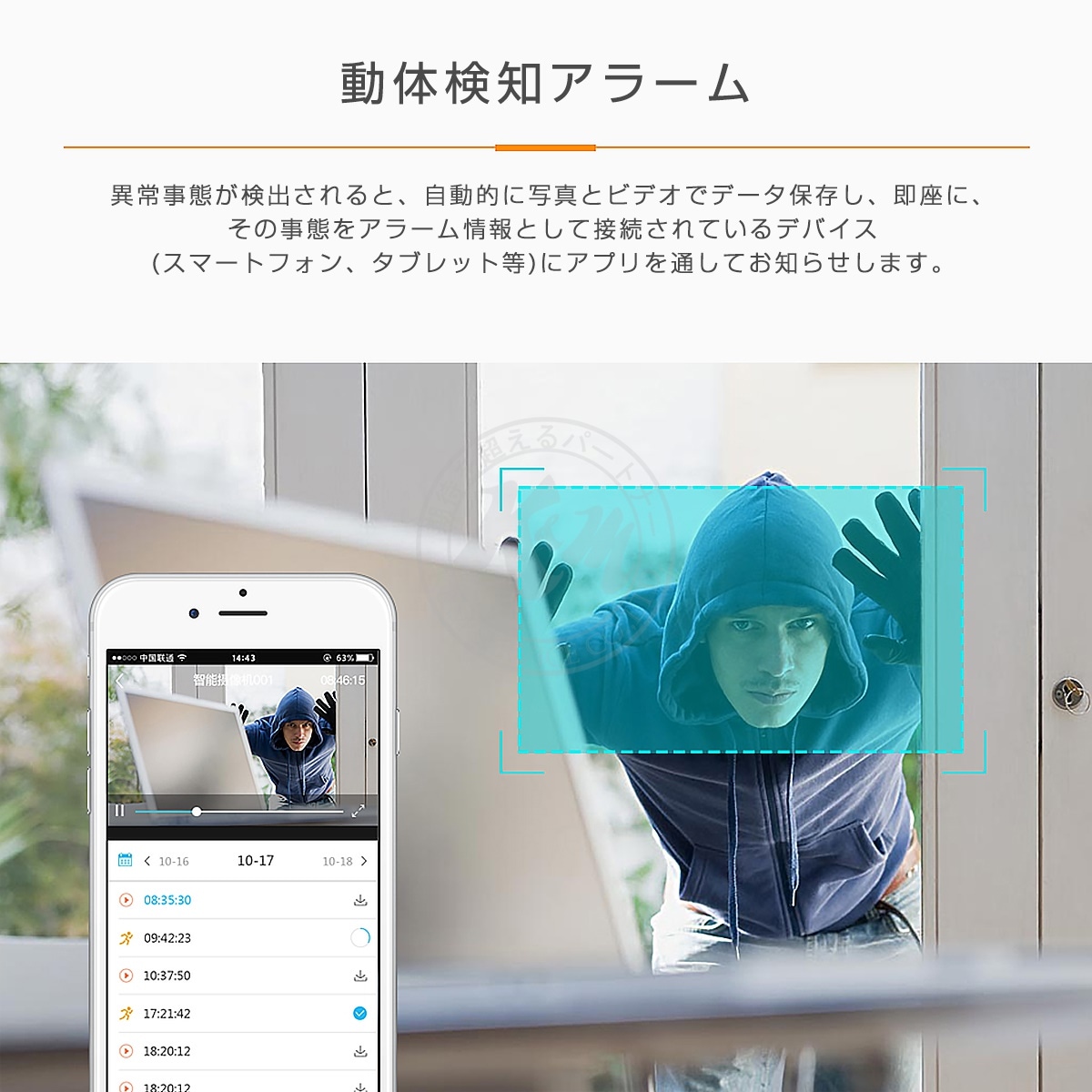 防犯カメラ 300万画素 C61S ネットワークカメラ 魚眼レンズ 360度 全天球 在庫処分1ヶ月保証