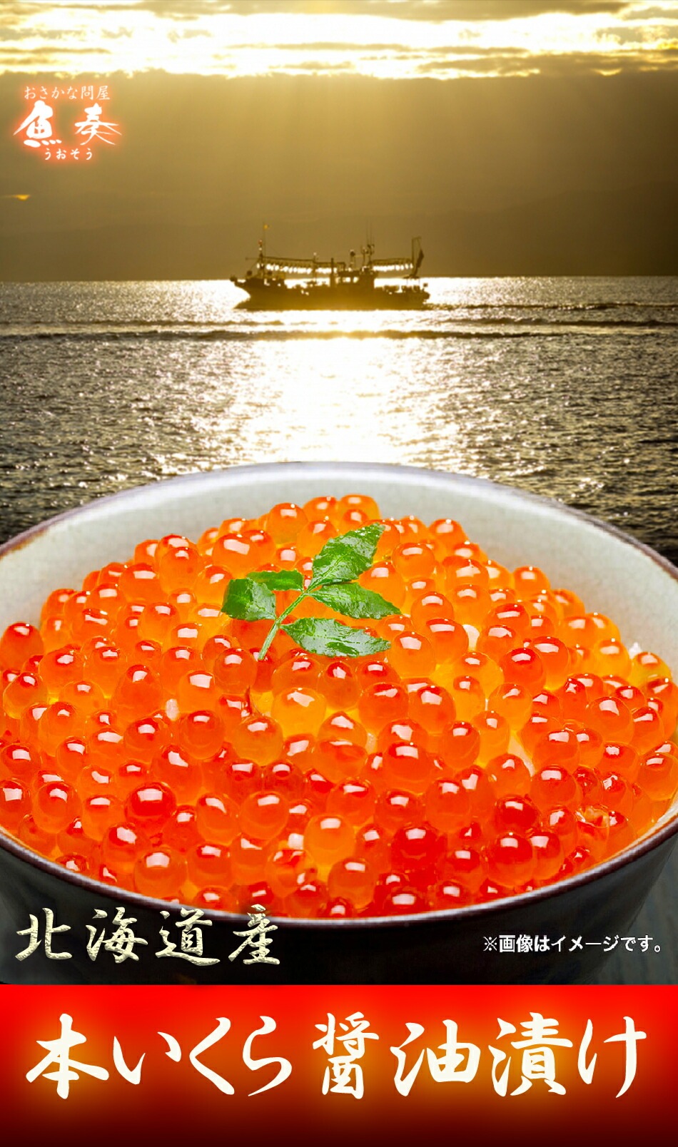 イクラ いくら醤油漬け 業務用 900g 鮭子北海道産 国産 母の日 父の日 敬老 お取り寄せ イクラ いくら醤油漬け 業務用 900g 鮭子北海道産 国産 母の日 父の日 敬老 お取り寄せ