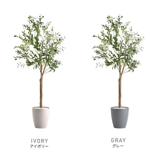 お手入れ簡単フェイクグリーン オリーブ Lサイズ(180cm) お手入れ簡単フェイクグリーン オリーブ Lサイズ(180cm)